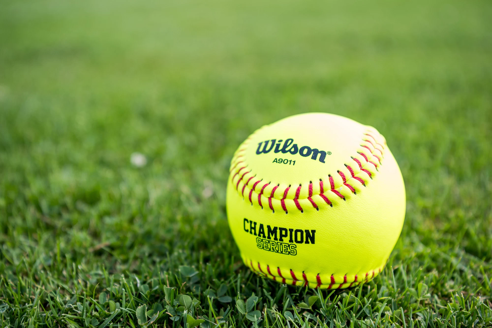 Softbal Hei(Loo) Hei tea toernooi 29 maart 2026