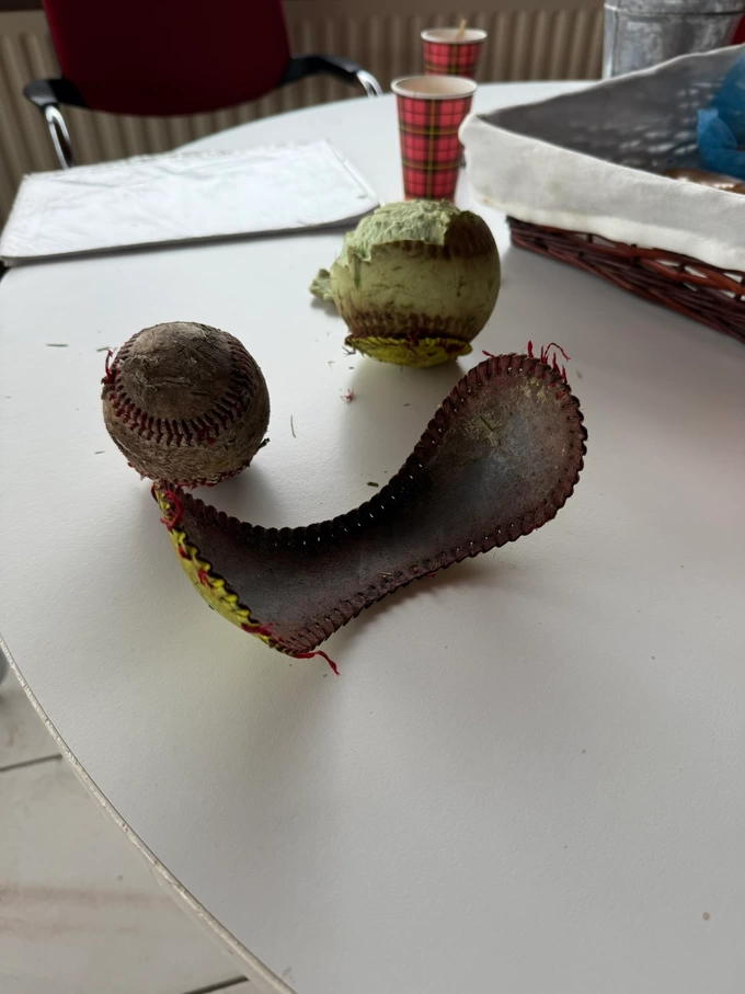 Stukke honkballen en softballen door de grasmaaier